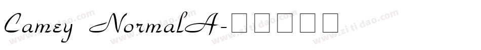 Camey NormalA字体转换